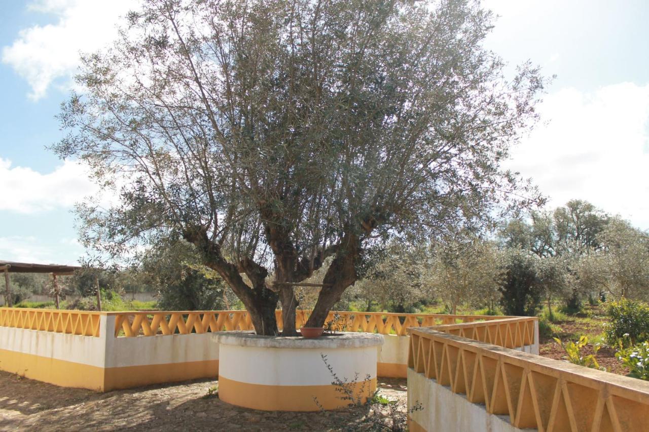Montinho Do Palanque Villa Viana do Alentejo Exterior photo