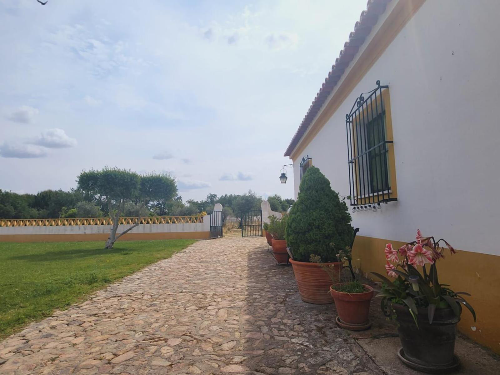 Montinho Do Palanque Villa Viana do Alentejo Exterior photo
