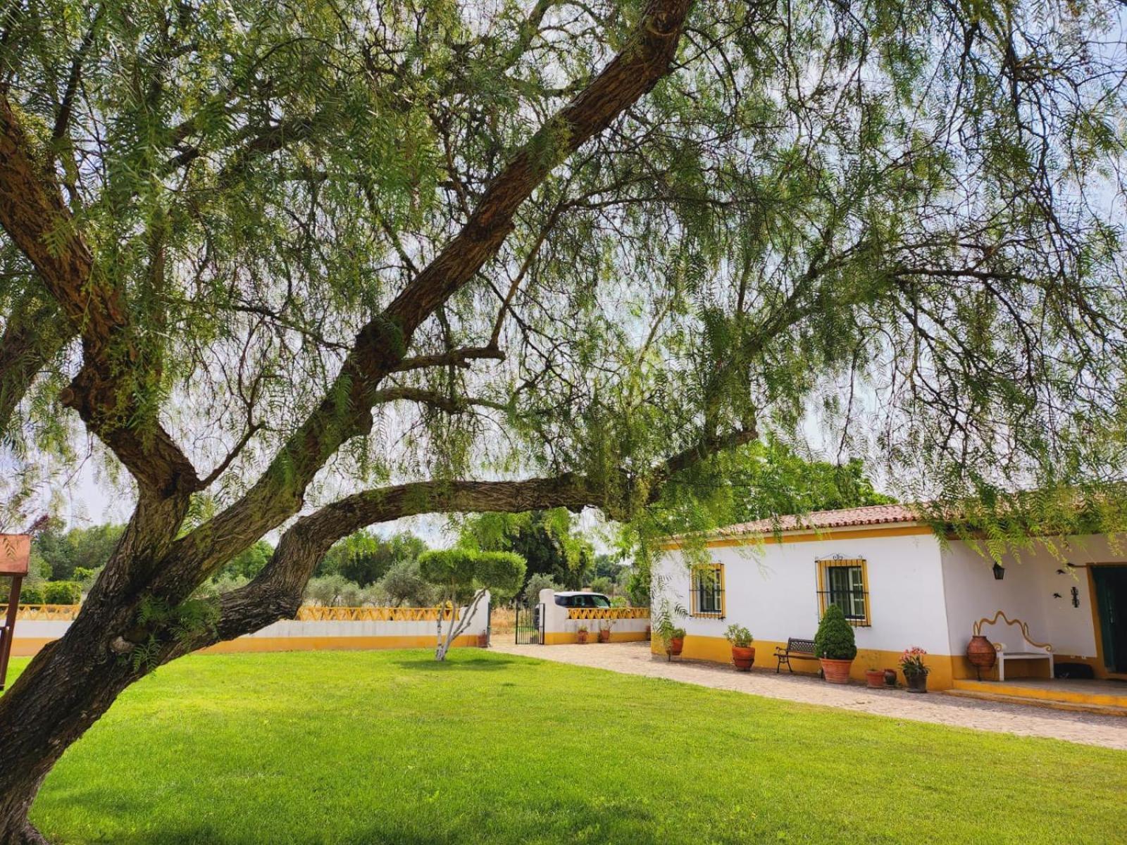 Montinho Do Palanque Villa Viana do Alentejo Exterior photo