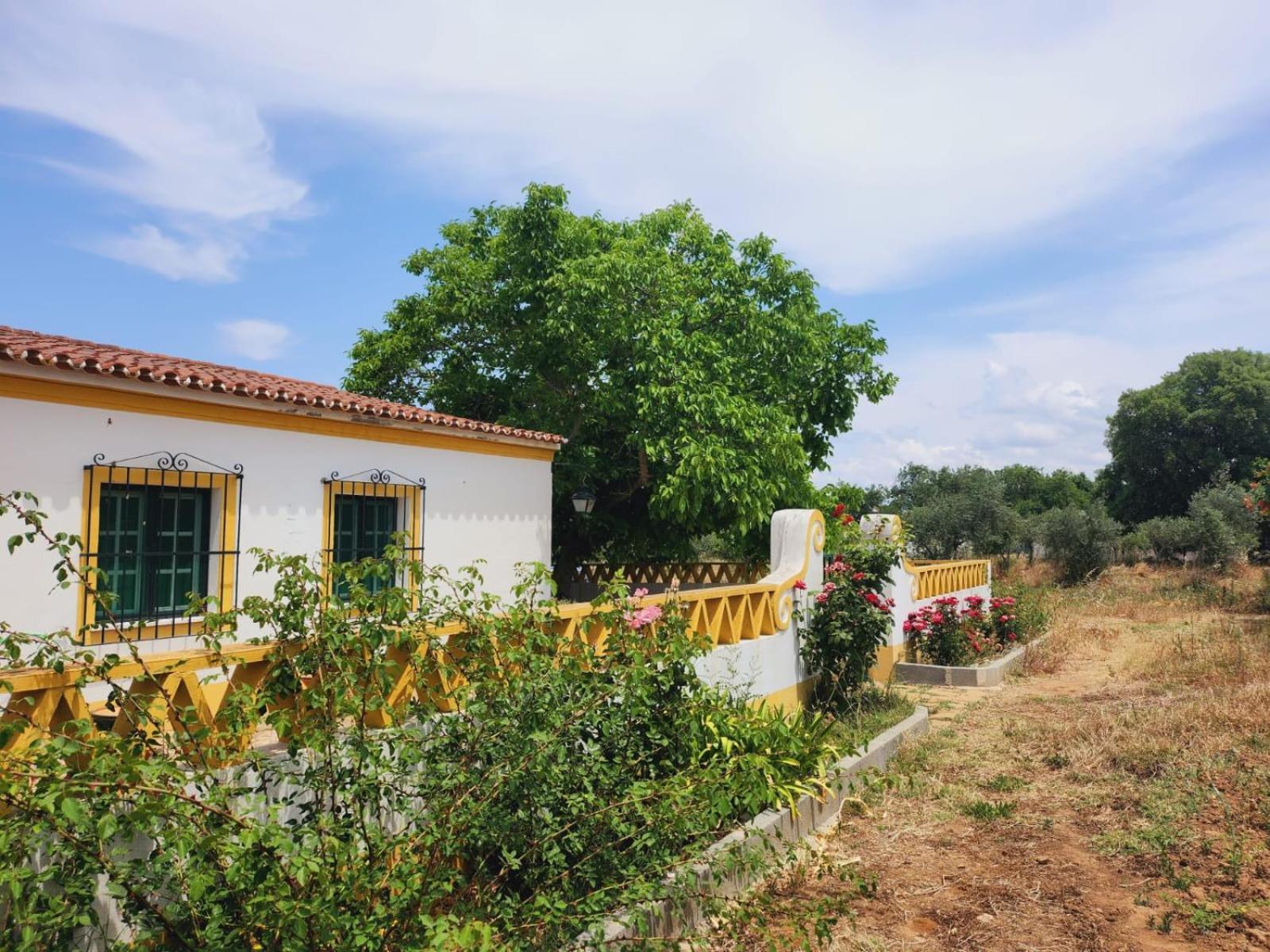 Montinho Do Palanque Villa Viana do Alentejo Exterior photo